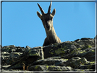 foto Passo dei Salati e Col d'Olen